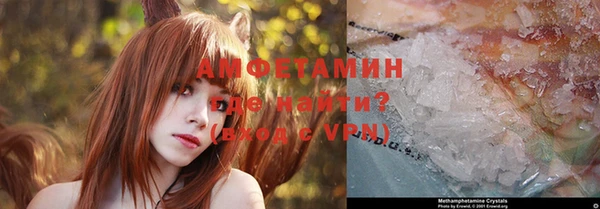 mdpv Богородицк